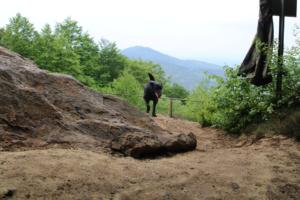 2018 Ausbildungswoche Arber